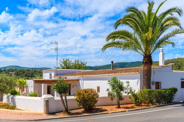 İspanya 'nın İbiza adasındaki Sant Carles de Peralta köyünde yol kenarında palmiye ağacı olan tipik bir beyaz ev.