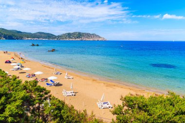 Güneşli yataklı ve şemsiyeli kumlu Es Figueral plajı manzarası, İbiza Adası, İspanya