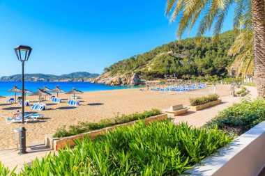 Güneşli yaz gününde İspanya 'nın İbiza adasında, Cala San Vicente körfezinde kumlu sahil boyunca şemsiyeli ve güneşli yataklı gezinti.