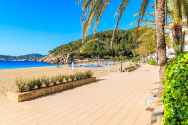 Güneşli yaz gününde İspanya 'nın İbiza adasında, Cala San Vicente körfezinde kumlu sahil boyunca şemsiyeli ve güneşli yataklı gezinti.
