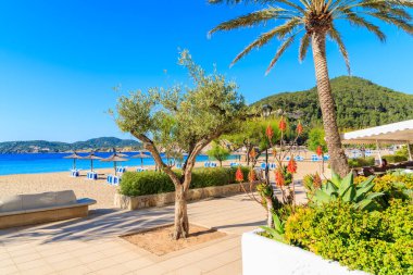 CALA SAN VICENTE BAY, IBIZA ISLAND - 19 Mayıs 2017: Güneşli yaz gününde İspanya 'nın İbiza adasında Cala San Vicente körfezinde kumsalda şemsiyeli sahil boyunca uzanan tropikal çiçek ve palmiye ağaçları.