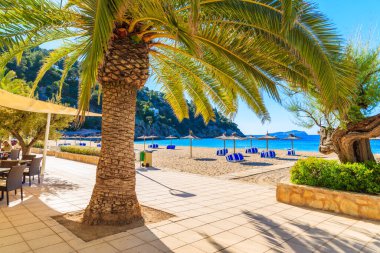 CALA SAN VICENTE BAY, IBIZA ADASI - 19 Mayıs 2017: İspanya 'nın İbiza adası Cala San Vicente körfezindeki palmiye ağaçlarıyla kıyı şeridinden sahile bakış.