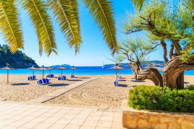 Ön planda palmiye yaprakları ve güneşli yaz günü İspanya 'nın İbiza adasında Cala San Vicente körfezinde kumlu sahil manzaralı güneşli bir gezinti.
