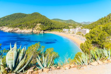 İspanya 'nın İbiza adasının kuzey kesimindeki Cala San Vicente körfezindeki masmavi deniz suyuyla inanılmaz bir sahil manzarası.