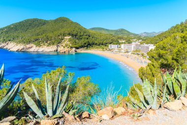 İspanya 'nın İbiza adasında deniz suyu ve otellerle dolu güzel Cala San Vicente Körfezi manzarası