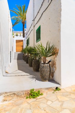 İspanya 'nın İbiza adasındaki Sant Josep de sa Talaia kasabasında tipik İspanyol tarzı evleri ve palmiye ağaçları olan dar bir sokak.