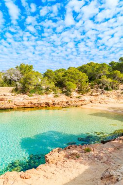 Güzel Cala Gracioneta plajı ve körfezi manzarası sabahın erken saatlerinde, İbiza adası, İspanya