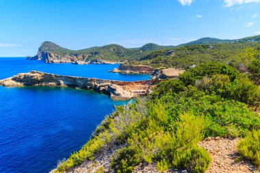 Punta Galera Körfezi 'ne giden yeşil kıyı yolu, İbiza Adası, İspanya