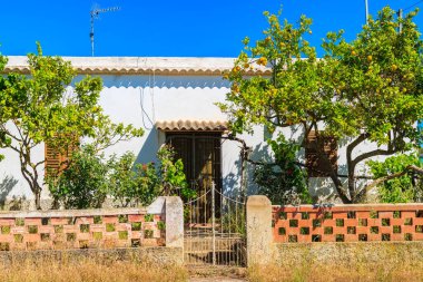 İbiza adasındaki bahçesinde limon ağaçları olan eski bir ev, İspanya