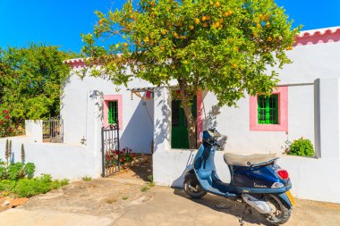 IBIZA Adaları, İspanya - 18 Mayıs 2017: Klasik Vespa scooter park yeri Limon ağacı ve geleneksel beyaz ev Sant Carles de Peralta köyü, İspanya.
