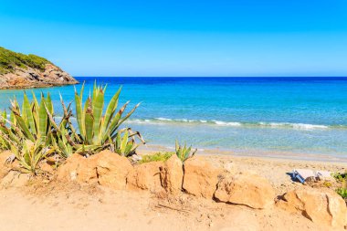 Güneşli yaz gününde Cala Nova plajı manzarası, İbiza adası, İspanya