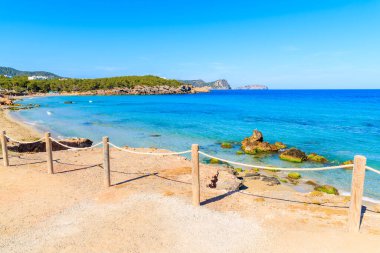Güneşli yaz gününde Cala Nova plajı manzarası, İbiza adası, İspanya