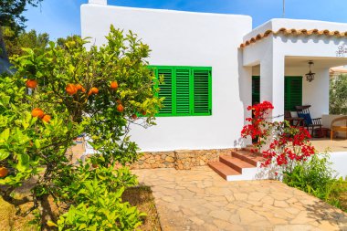 Santa Eularia şehrinin Puig de Missa bölgesindeki tipik beyaz evlerin bahçesinde meyveli portakal ağacı, İbiza Adası, İspanya