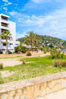Cala San Vicente Körfezi İbiza Adası, İspanya 'daki yeşil kıyı bölgesi.