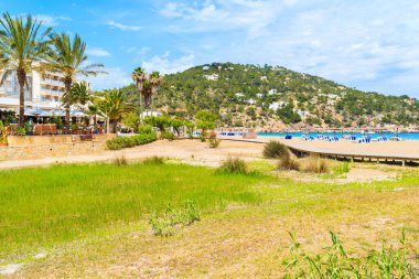 Cala San Vicente Körfezi İbiza Adası, İspanya 'daki yeşil kıyı bölgesi.