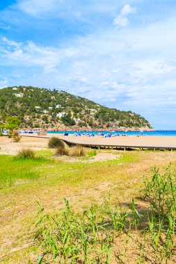 Cala San Vicente Körfezi 'ndeki yeşil kıyı bölgesi ve sahil manzarası, İbiza Adası, İspanya