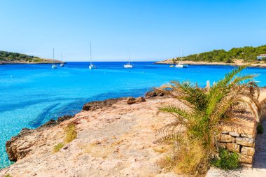 İspanya 'nın İbiza adasındaki Cala Portinatx Körfezi' ndeki mavi deniz boyunca uzanan kıyı şeridi manzarası