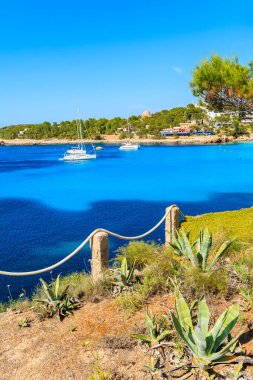 Cala Portinatx körfezinde mavi deniz suyunda yüzen tekneler ve önplanda agave bitkileri İspanya 'nın İbiza adasındaki kayalıklarda yetişiyor.