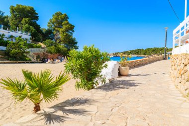 İspanya 'nın İbiza adasındaki Cala Portinatx Körfezi' ndeki sahil şeridine yürüyoruz.