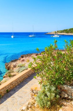 İspanya 'nın İbiza adasındaki Cala Portinatx Körfezi' ndeki mavi deniz boyunca uzanan kıyı şeridi manzarası