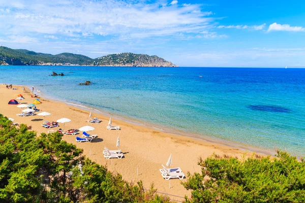 Güneşli yataklı ve şemsiyeli kumlu Es Figueral plajı manzarası, İbiza Adası, İspanya