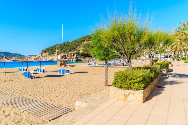 Güneşli yaz gününde Cala San Vicente koyunda şemsiyeli ve güneşli kumsal, İbiza adası, İspanya
