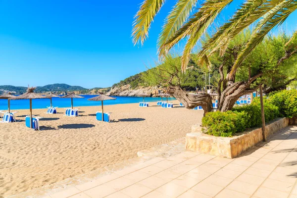 Güneşli yaz gününde Cala San Vicente koyunda şemsiyeli ve güneşli kumsal, İbiza adası, İspanya