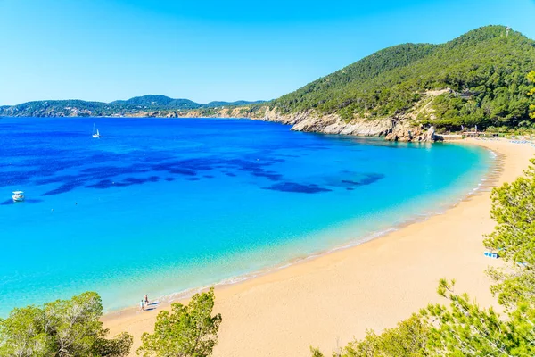 Güzel Cala San Vicente Körfezi manzarası. Gök mavisi deniz suyu ve plaj, İbiza Adası, İspanya.