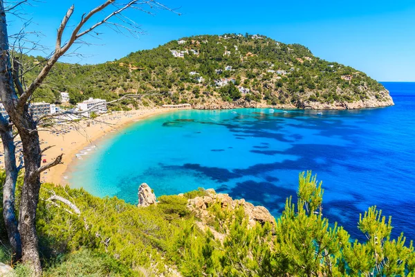 Güzel Cala San Vicente Körfezi manzarası. Gök mavisi deniz suyu ve plaj, İbiza Adası, İspanya.