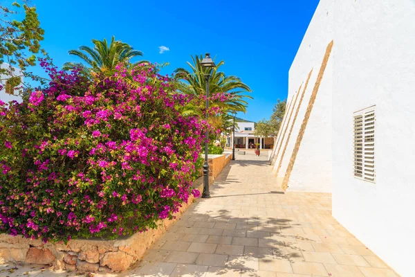 İspanya 'nın İbiza adasındaki Es Cubell köyündeki tipik beyaz kilise ve palmiye ağaçları