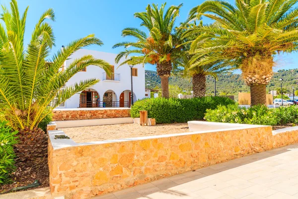 İspanya 'nın İbiza adasındaki Es Cubell köyündeki tipik İspanyol tarzı ev ve palmiye ağaçları.