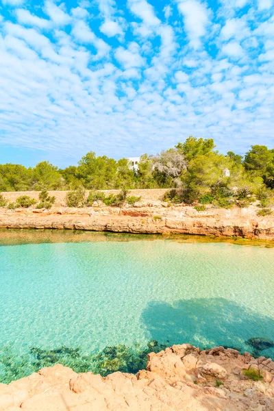 Sabahın erken saatlerinde kristal berrak deniz suyuyla güzel Cala Gracioneta Körfezi manzarası, İbiza Adası, İspanya