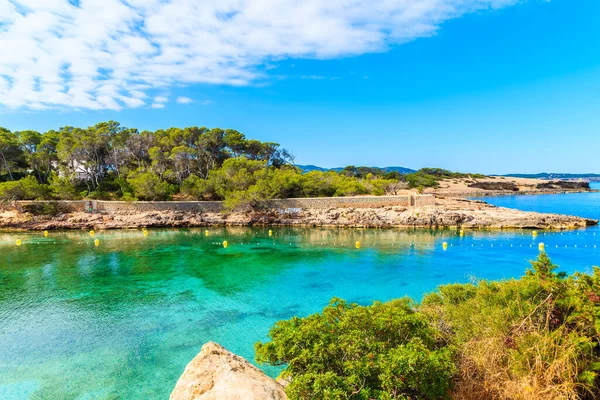 Güzel Cala Gracio Körfezi manzarası sabahın erken saatlerinde, İbiza adası, İspanya