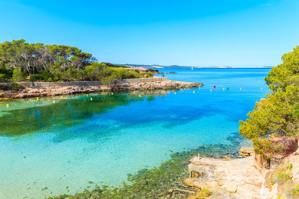 İspanya 'nın İbiza adasında sabahın erken saatlerinde gök mavisi deniz suyuyla güzel Cala Gracio Körfezi manzarası