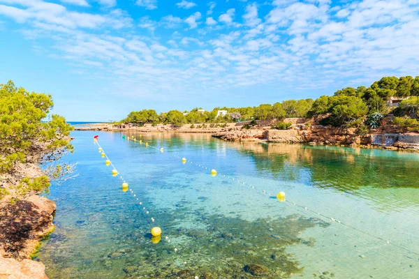 Sabahın erken saatlerinde güzel Cala Gracio plajı ve körfezi manzarası, İbiza adası, İspanya