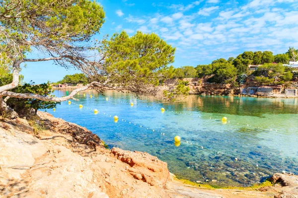 Sabahın erken saatlerinde güzel Cala Gracio plajı ve körfezi manzarası, İbiza adası, İspanya