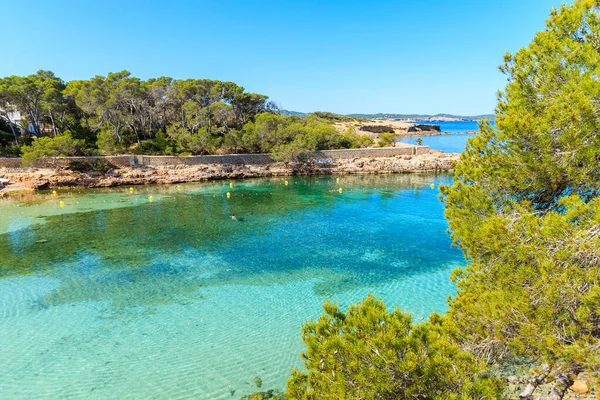 İspanya 'nın İbiza adasında sabahın erken saatlerinde gök mavisi deniz suyuyla güzel Cala Gracio Körfezi manzarası