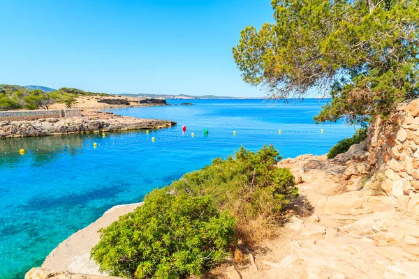 Sabahın erken saatlerinde İspanya 'nın İbiza adasında güzel Cala Gracio körfezi boyunca uzanan kıyı yolu manzarası.