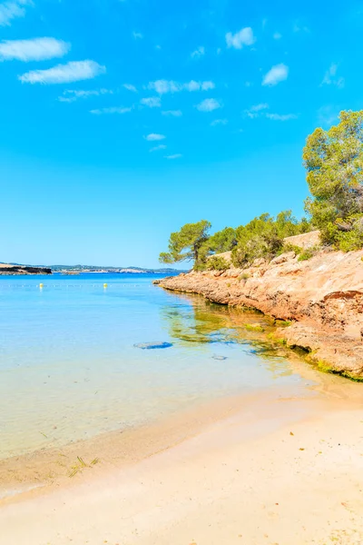 Güzel Cala Gracioneta plajı ve körfezi manzarası sabahın erken saatlerinde, İbiza adası, İspanya