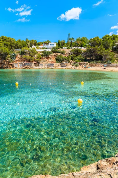 Turkuaz kristal berrak su güzel Cala Gracio plajı, İbiza adası, İspanya