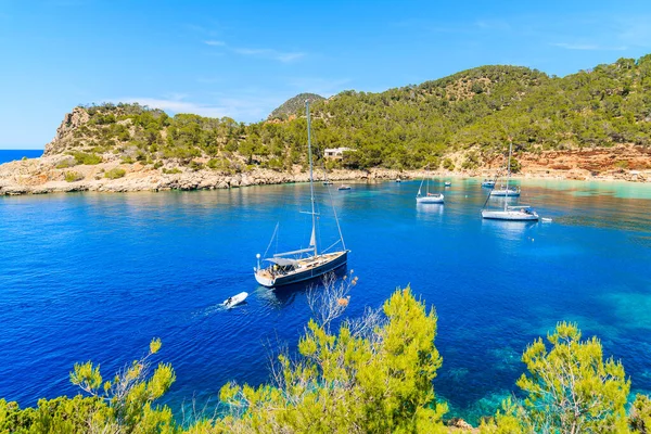 İspanya 'nın İbiza adasındaki Cala Salada Körfezi' nde mavi deniz suyunda yüzen tekneler.