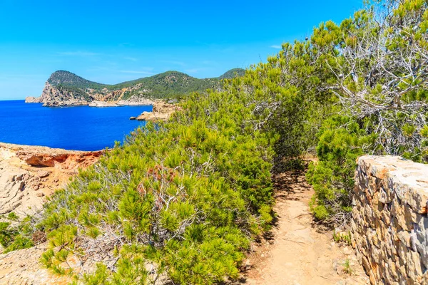 Punta Galera Körfezi kıyı yolu, İbiza Adası, İspanya