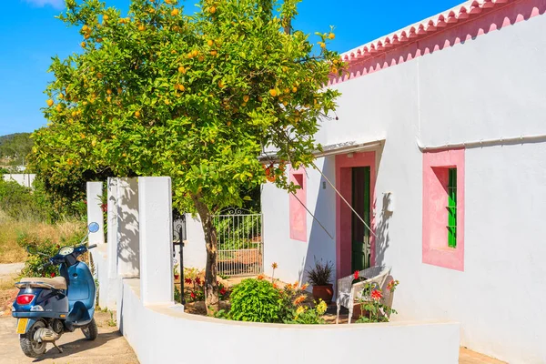IBIZA Adaları, İspanya - 20 Mayıs 2017: Klasik Vespa scooter park yeri Limon ağacı ve geleneksel beyaz ev Sant Carles de Peralta köyü, İspanya.