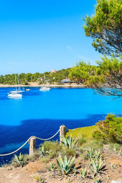 İspanya 'nın İbiza adasında mavi deniz suyuyla Cala Portinatx Körfezi' nin güzel sahil manzarası