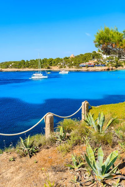 Cala Portinatx körfezinde mavi deniz suyunda yüzen tekneler ve önplanda agave bitkileri İspanya 'nın İbiza adasındaki kayalıklarda yetişiyor.