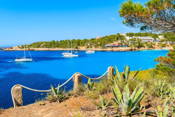 Cala Portinatx körfezindeki mavi deniz suyunda yelkenli tekneleri ve İspanya 'nın İbiza adasındaki kayalıklarda yetişen ön plandaki agave bitkileri.