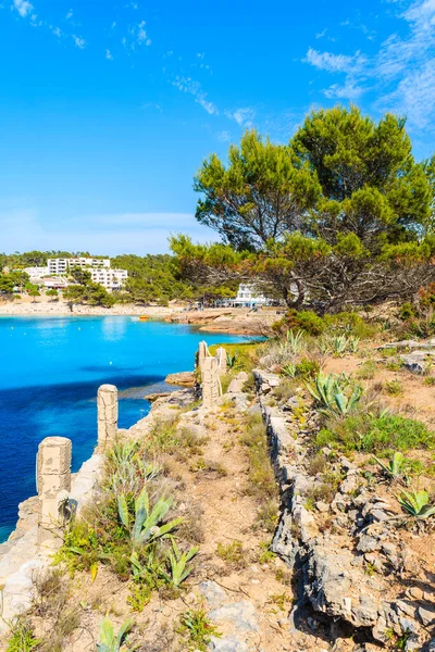 İspanya, İbiza 'daki Cala Portinatx Körfezi' ndeki güzel sahil ve mavi deniz manzarası