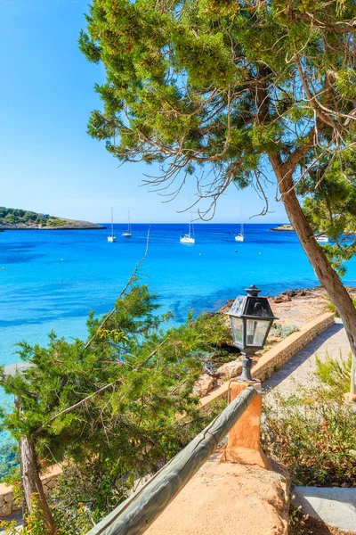 İspanya 'nın İbiza adasındaki kıyı güvertesinden Cala Portinatx Körfezi' ndeki gök mavisi deniz suyunun görüntüsü