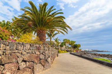 Playa Blanca şehir okyanusta sahil mesire palmiye ağaçlarının