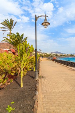 Playa Blanca okyanusta sahil mesire